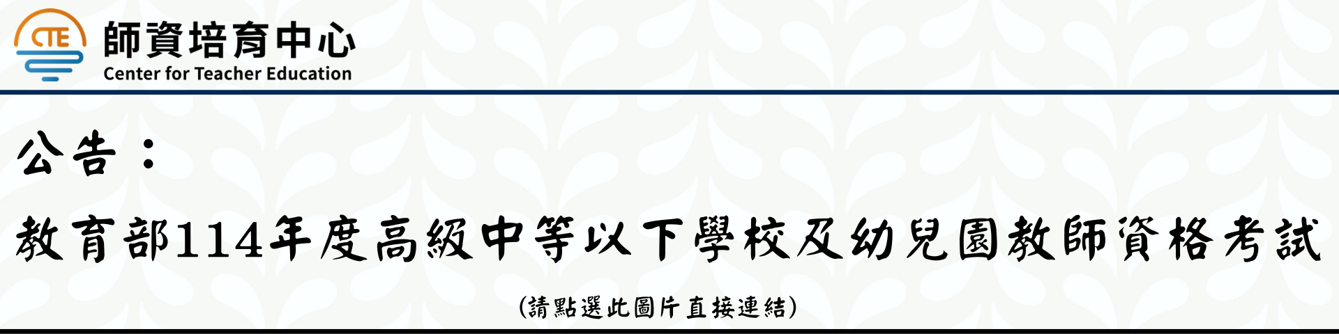 114年度高級中等以下學校及幼兒園教師資格考試